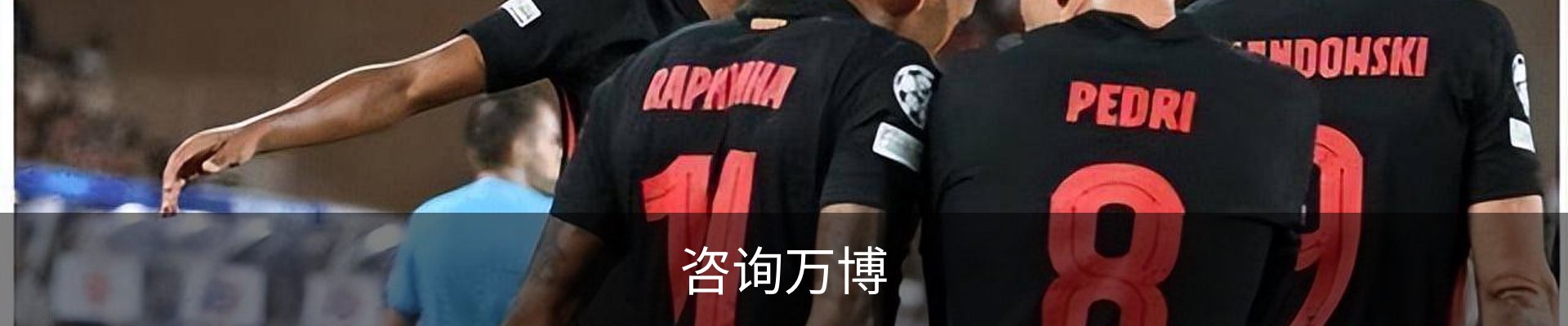 咨询万博